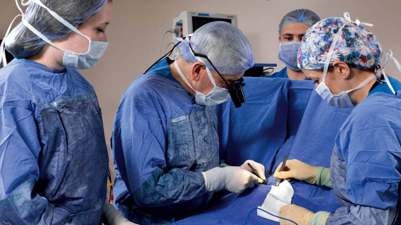 Day Surgery Information — bilgilendirme görseli
