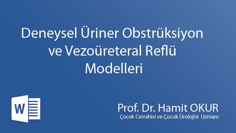 EXPERIMENTAL URINARY OBSTRUCTION AND VESOURETERAL REFLUX MODELS